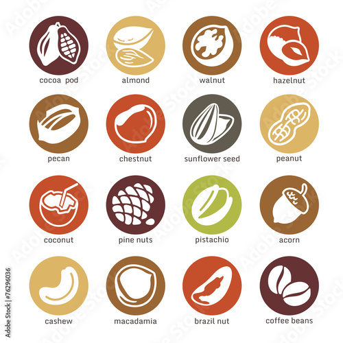 Fotografía Web icons collection - nuts, beans and seed