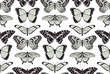 Butterfly seamless vintage background