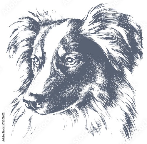 Plakat na zamówienie Little dog vector sketch