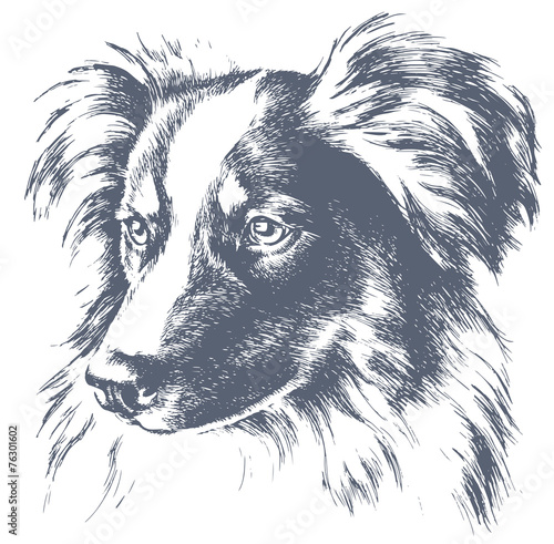 Fototapeta na wymiar Little dog vector sketch