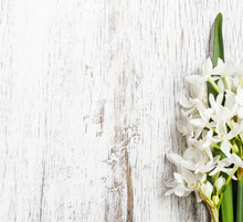 White Narcissus Flowers On Wooden Background