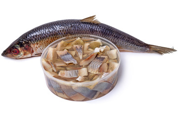 Atlantic herring carcass and pieces