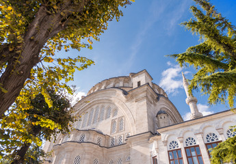 Poster - Magnificent architecture of Blue Mosque in Istanbul