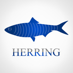 Poster - Herring