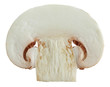 Slice of mushroom isolated on white