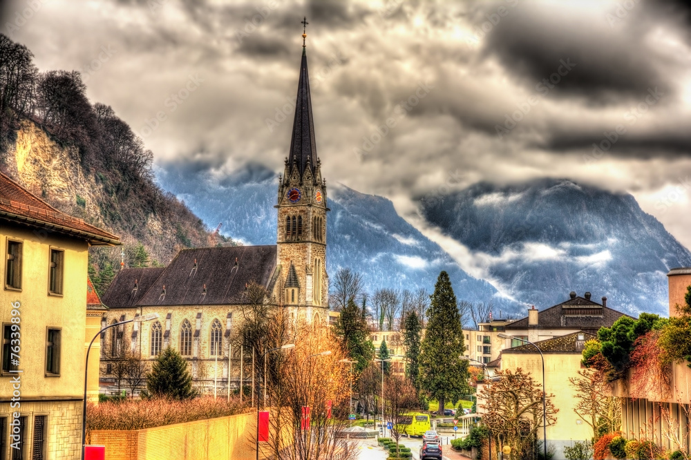 Obraz na płótnie View of Cathedral of St. Florin in Vaduz - Liechtenstein w salonie