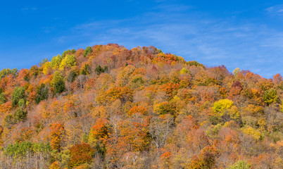Wall Mural - colorful autumn foliage mountain in Vermont
