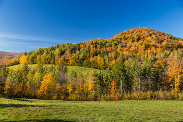 Wall Mural - Autumn foliage in Vermont countryside