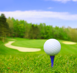 Canvas Print - Golf ball on course