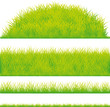green grass design element - vector illustration