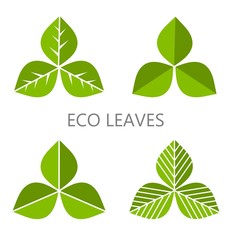 Wall Mural - eco leaves