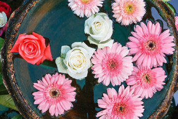 Flowers floating in water