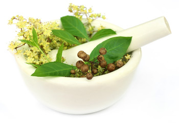 Henna leaves with flower and seeds