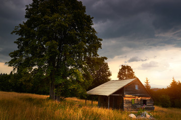 Wall Mural - Abandoned hut on the field