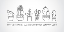 Linear Design, Potted Flowers. Elements Corporate Logo.