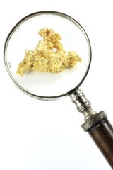 Goldnugget unter Lupe isoliert auf weißem Hintergrund
