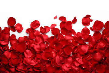 Rose petals