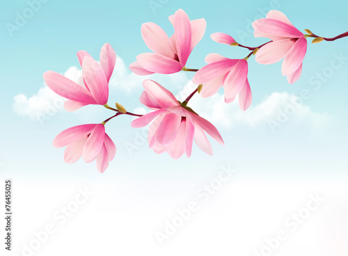 Naklejki magnolia  tlo-valentine-z-rozowe-kwiaty-wektor