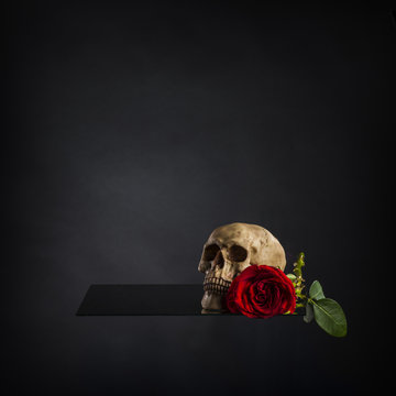 Wall Mural -  - Conceptual Skull and Red Rose on Platform