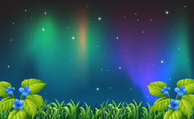 Wall Mural - Night scene