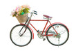 red classic bike with flower in basket isolate
