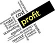 © z_amir - word cloud - profit