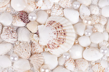 Background Of Sea Shells With Pearls