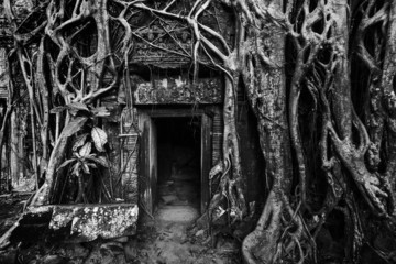 Fototapete - Ancient stone door and tree roots, Angkor temple