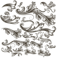 Wall Mural - Collection of vector hand drawn floral swirls for design