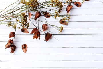 Wall Mural - Dried flowers on color wooden planks background