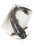 Fototapeta Maki - Channel catfish in a ceramic baking dish cooking isolated on whi