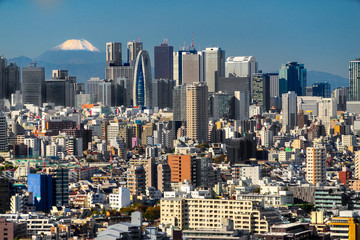 Wall Mural - Tokyo skyline,  Japan.