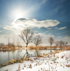 Wall Mural - winter river with the frozen shores