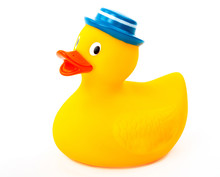 Rubber Toy Duck With Blue Hat Isolated On White Background