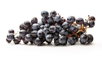 Wall Mural - Twig of black grapes on white