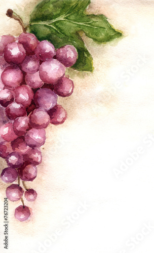 Naklejka - mata magnetyczna na lodówkę Watercolor illustration - vintage bunch of grapes