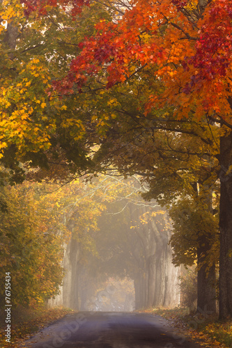 Obraz w ramie Autumn road in north Poland