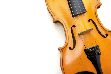 violin on white background