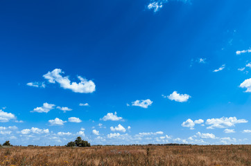 Summer landscape with the beautiful sky and fields