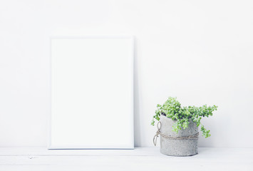 Wall Mural - white frame with place for text with succulent