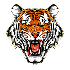 Tiger Head