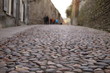 © AnastasiiaUsoltceva - Cobblestone road in Old Tallinn