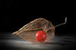 Physalis on old wood, black  background