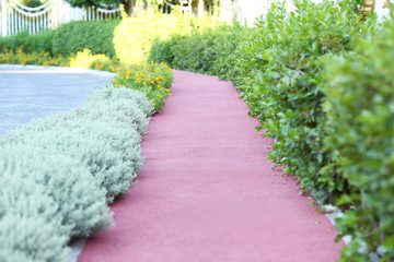 Canvas Print - Landscaping of walkway in park