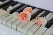 Piano with petal roses