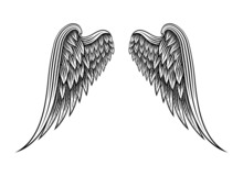 Hand Drawn Angel Wings