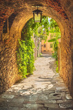 Fototapeta Na drzwi - Old streets of greenery a medieval Tuscan town.