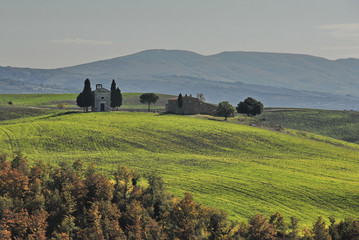 Wall Mural - Panorama Toscano 1