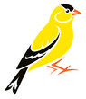 Stylized Bird - American Goldfinch
