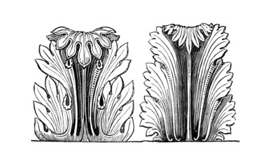Fototapete - Victorian engraving of an acanthus design.